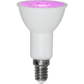 LED-Lampe E14 PAR16 Plant Light