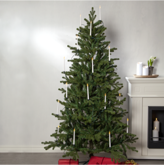 Weihnachtsbaum Hedvik