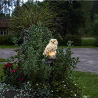 Solardekoration Owl