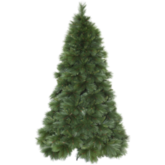 Weihnachtsbaum Cembra
