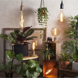 LED-lampe E27 BT180 Industrial Vintage 