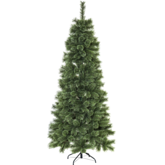 Weihnachtsbaum Cembrini