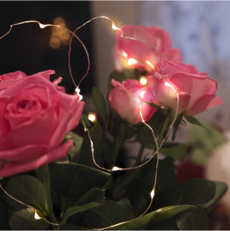 Lichterkette Dew Drop