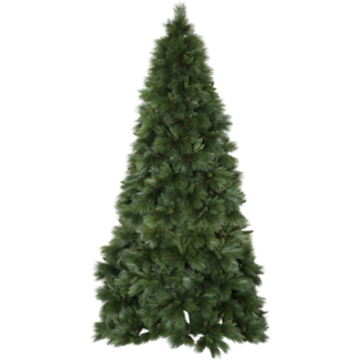 Weihnachtsbaum Cembra