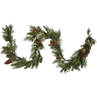 612-99_FL_002.png