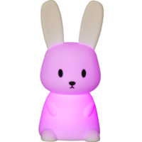 357-66_FL_006.png