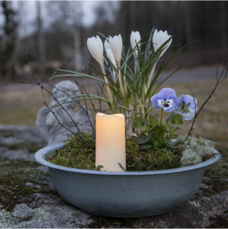 LED Grablicht Serene