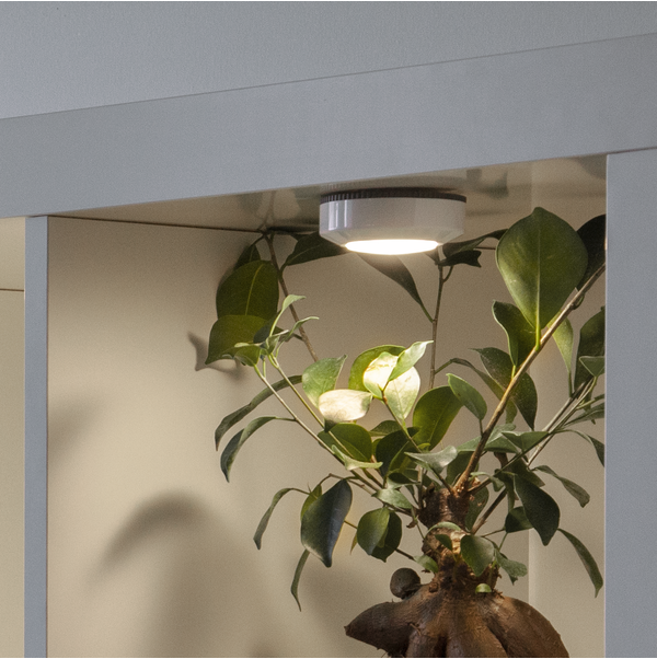 LED-Lampe Functional 3-pack