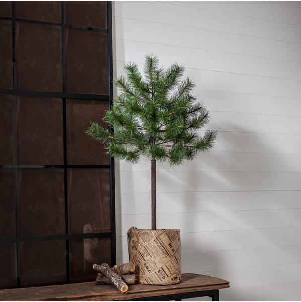 Weihnachtsbaum Tallis