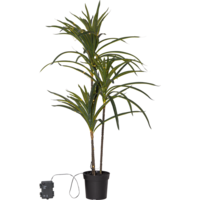 857-55_FL_001.png