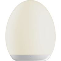 357-61_FL_011.png
