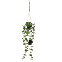 857-56_FL_001.png