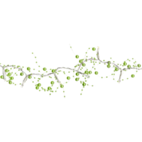 726-62_FL_001.png