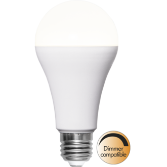 LED-Lampe E27 A65 High Lumen