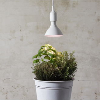 LED-Lampe E27 PAR38 Plant Light