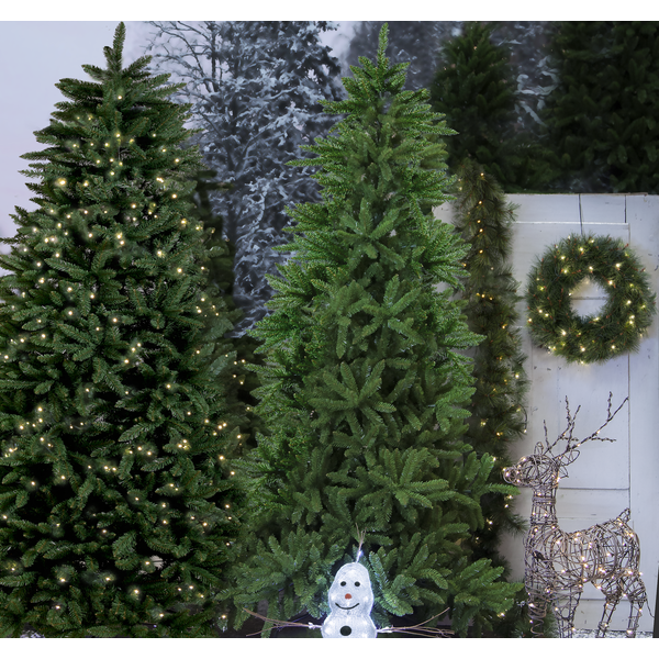 Weihnachtsbaum Minnesota