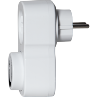 399-21_FL_002.png