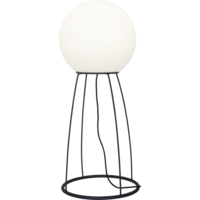 803-58_FL_001.png