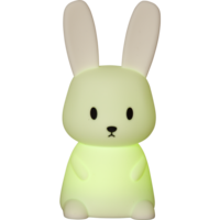 357-66_FL_007.png