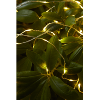 456-41_MB_002.png