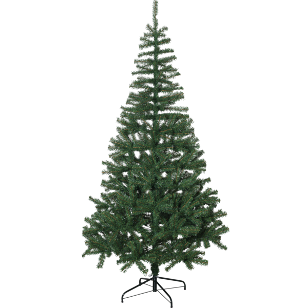 Weihnachtsbaum Dalbo