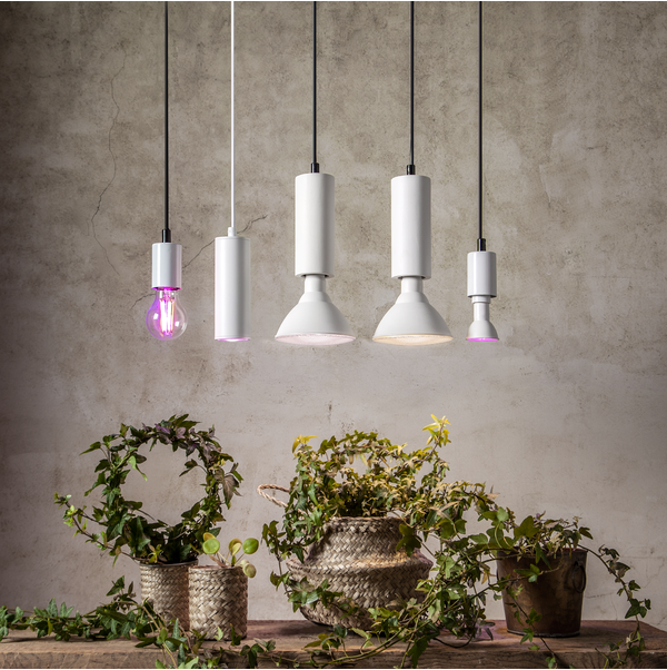 LED-Lampe E14 PAR16 Plant Light