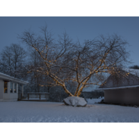 465-06,465-06-8,465-28_MB_007.png