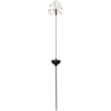 481-78_MN.png