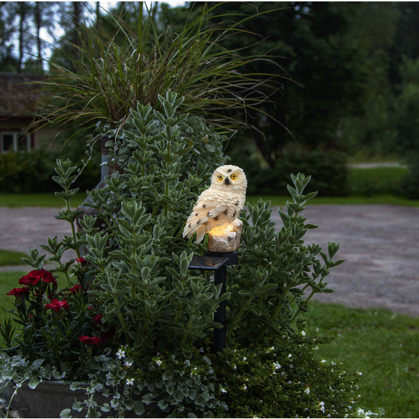 Solardekoration Owl