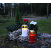 067-99-57,067-99-58_FL_001.png
