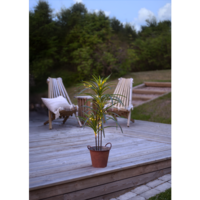 857-55_MB_002.png