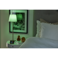 368-09_MB_003.png