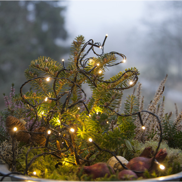 Lichterkette Serie MicroLED