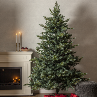 Weihnachtsbaum Greyland