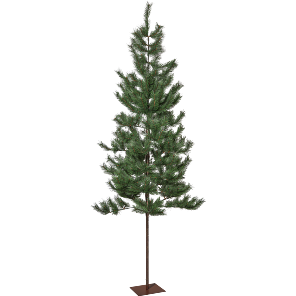 Weihnachtsbaum Tallis