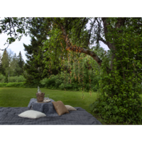 594-11-1,594-12-1_MB_004.png