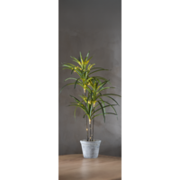 857-55_MB_001.png