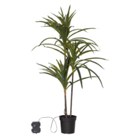 857-55_FL_002.png