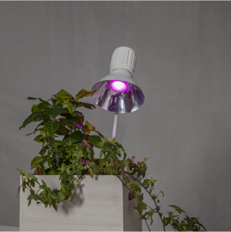 LED-Lampe GU10 MR16 Plant Light