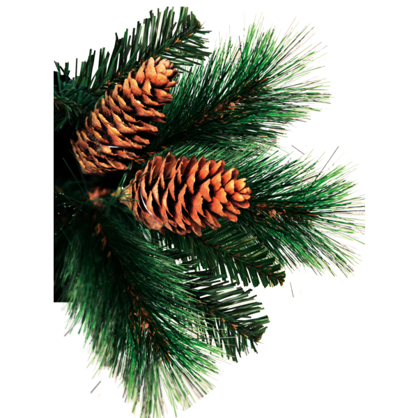 Weihnachtsbaum Toronto
