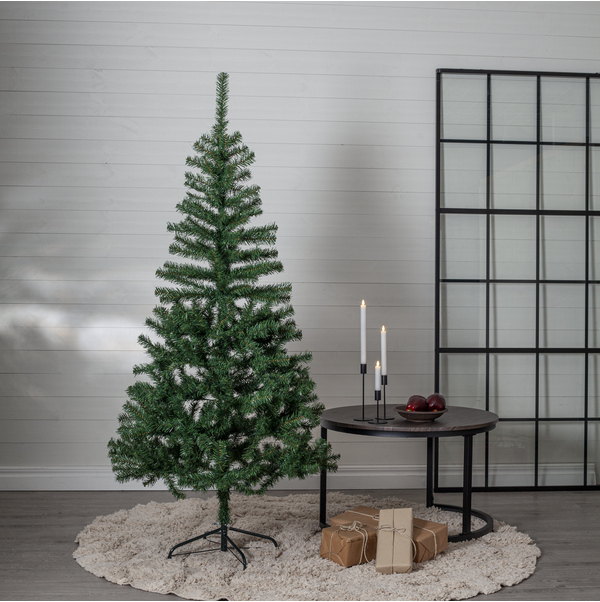 Weihnachtsbaum Dalbo