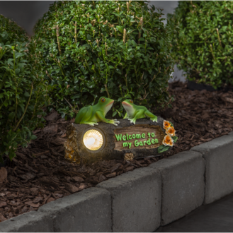 Solardekoration Frogy