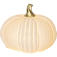 581-51_FL_001.png