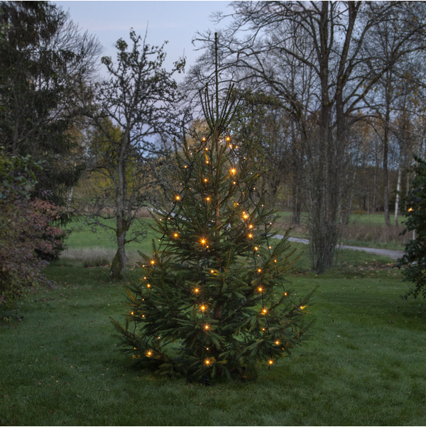 Baum-Lichterkette extra System 24