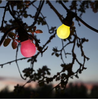 LED-Lampe B22 A55 Outdoor Lighting