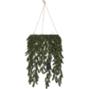 613-03_MN.png
