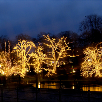 Lichtervorhang Extra System LED