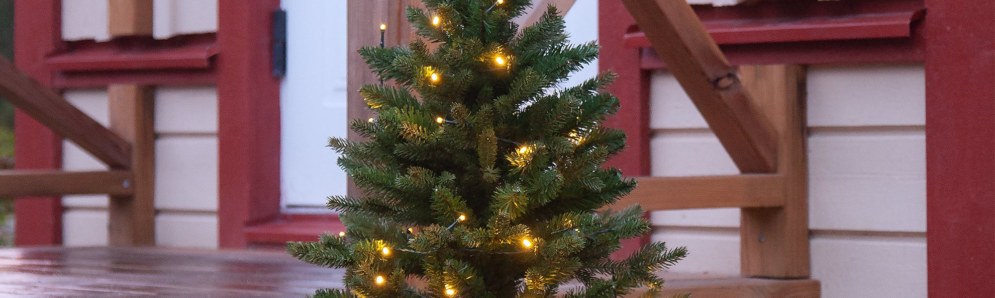 Weihnachtsbäume mit Beleuchtung