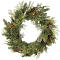 612-98_FL_002.png