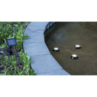 482-83_MB_001.png